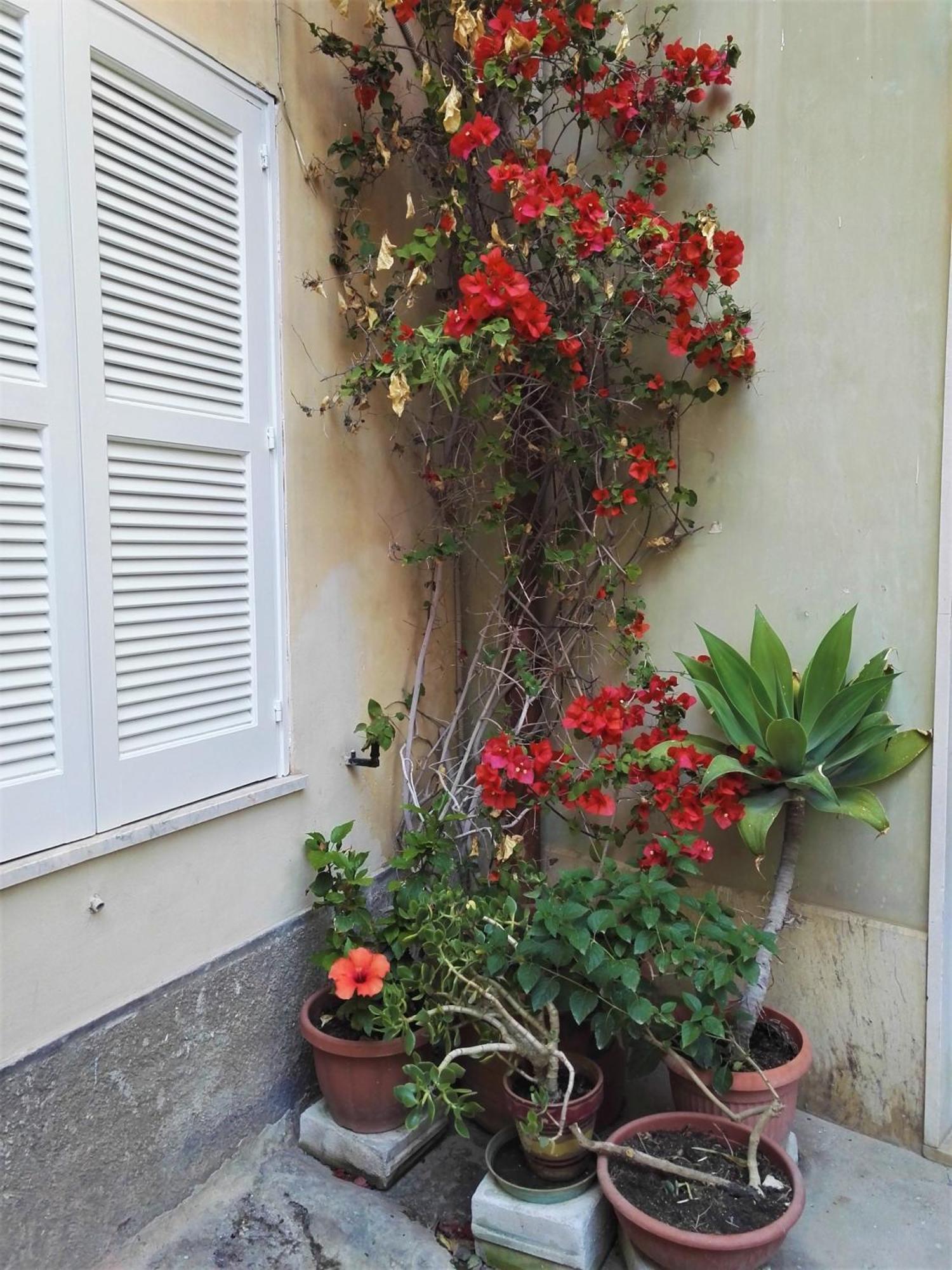 Вилла Aloha House Ortigia Сиракузы Экстерьер фото